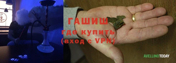 гашик Алексин