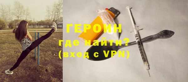 гашик Алексин