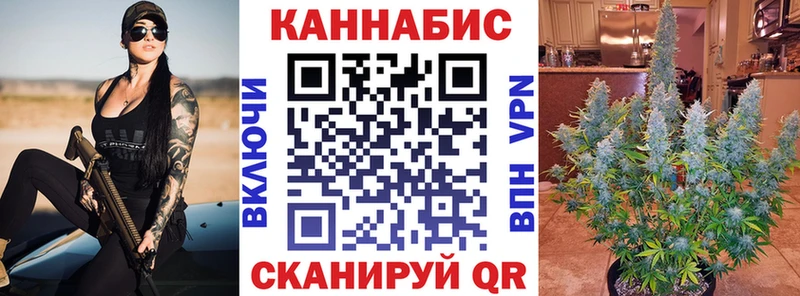 Конопля VHQ  где купить наркоту  Богородицк 